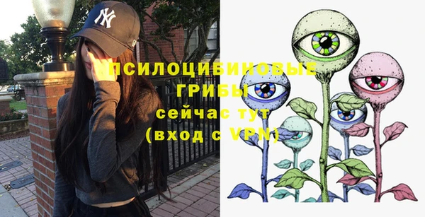 соль ск Покровск