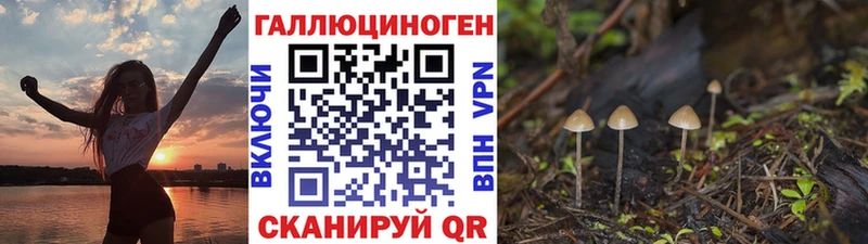 Галлюциногенные грибы Psilocybe  Купить  Чистополь 